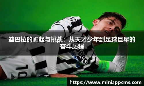 k1体育网页版